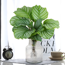 ˮ��ֲ�����O������Gֲ�����ļ������҃��k�������Bϲꎃ����՚�