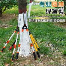 绿篱剪果枝剪草坪剪篱笆剪绿化剪刀园艺花剪修枝可伸缩大省力树枝