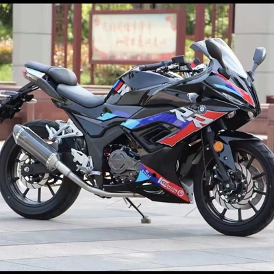 Domestic Magic Shadow S450 motorcycle, Motosikletlər