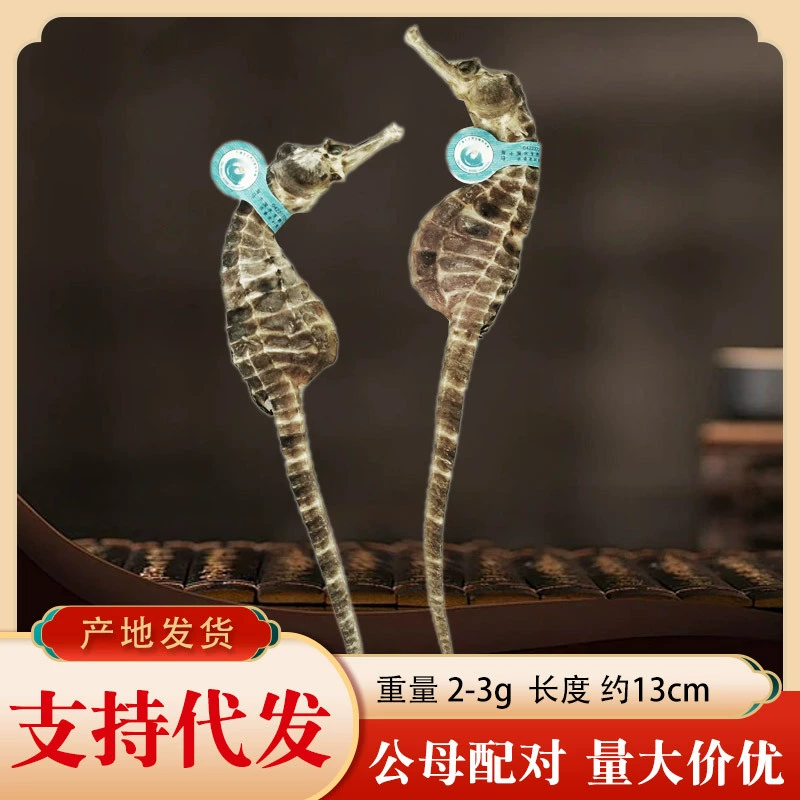 Wei Yin Ma Seahorse Breeding Source Сушеные продукты из морского конька для питания и красоты, суп и винный отвар.