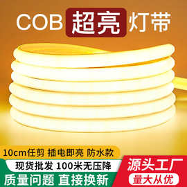 led灯带220v户外防水自粘线形灯家用客厅吊顶高压COB硅胶软灯条