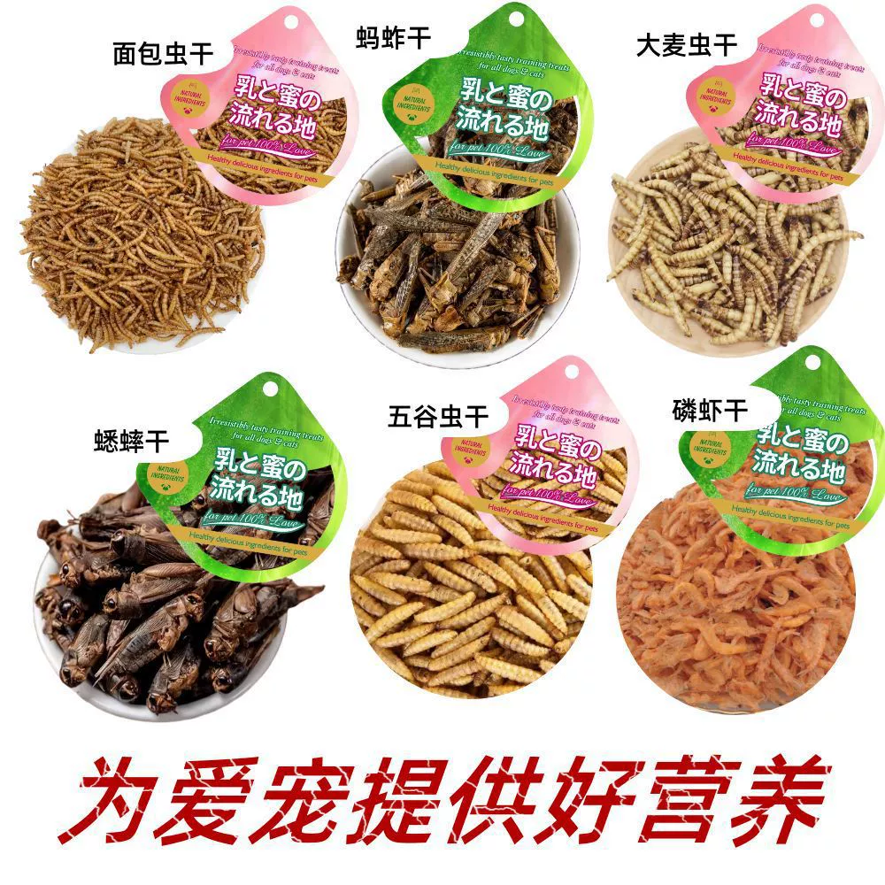 Гель-корм для питомцев-рептилий, таких как сахарные летучие мыши, бородатые агамы, геконы, черепахи, рогатые лесные лягушки и попугаи.