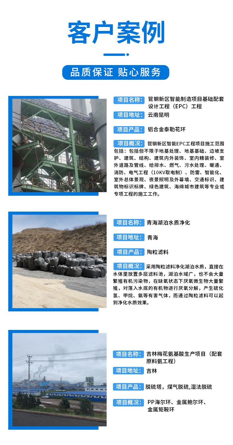 金属鲍尔环_02_02