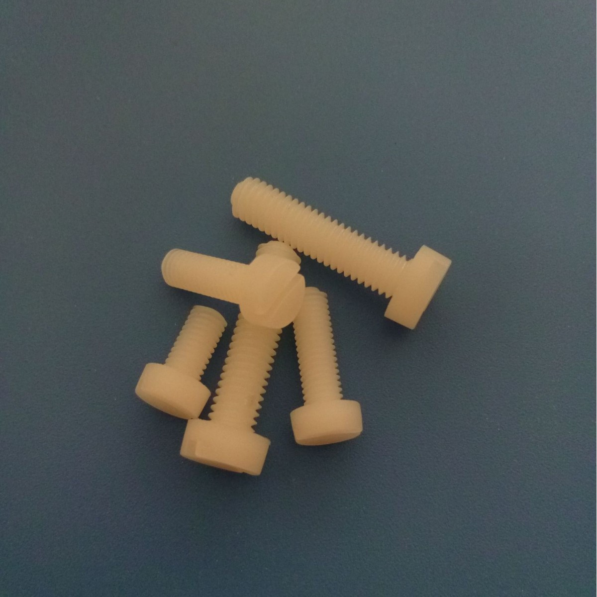 供应优质环保机械头(圆柱头)一字头型尼龙螺丝M2.5X25