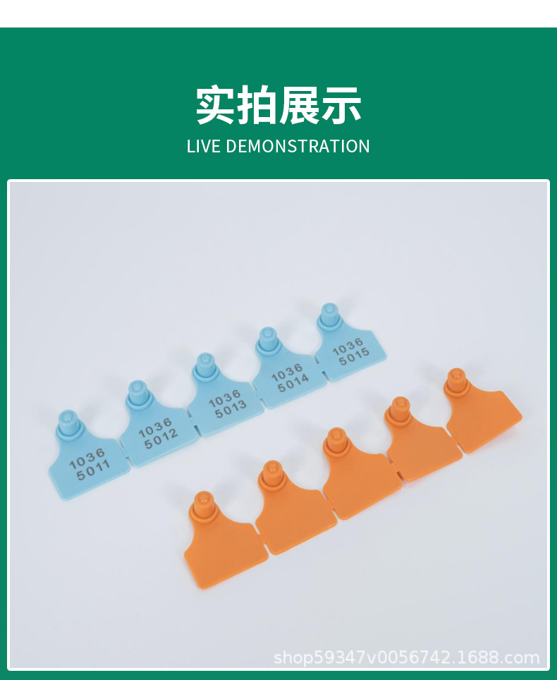 绵羊耳标-6_12.jpg