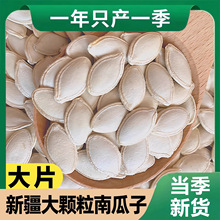 南瓜子2025新货原味椒盐味大片新疆精选带壳生南瓜籽大颗粒宿舍