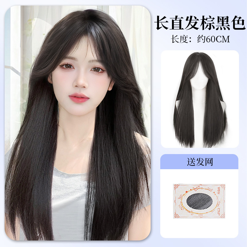 Temperament middle-parted straight hair [brown black] + hair net