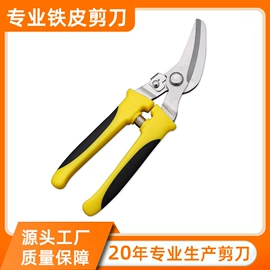 修枝剪;家用剪刀;厨用剪刀