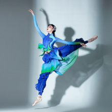 古典舞一条大河舞蹈服装练功服套装扇子民族舞服装新款套装演出服