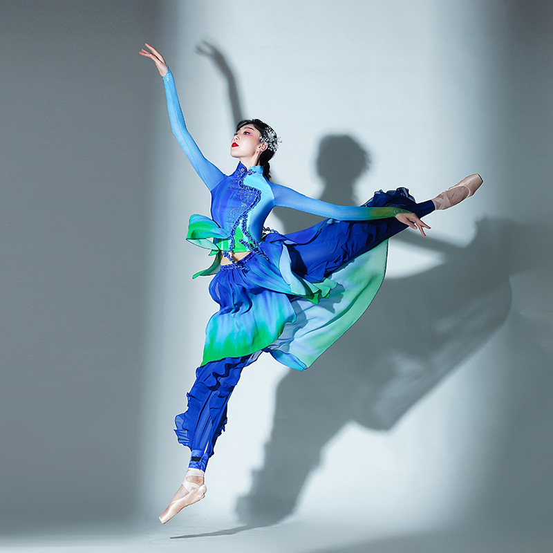 古典舞一条大河舞蹈服装练功服套装扇子民族舞服装新款套装演出服