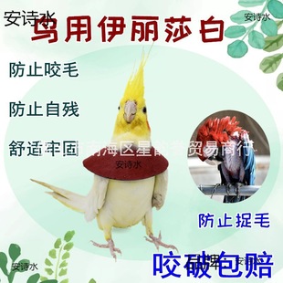 ����ɯ��Ȧ�Bϴ���B������ɯ�״���Ȧ��Ƥ������������۴��B