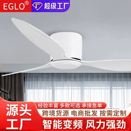 风扇灯;吊扇;灯控制器