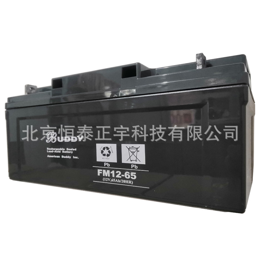 宝迪BUDDY蓄电池6-GFM-65 12V65AH直流屏UPS配套 消防照明 EPS