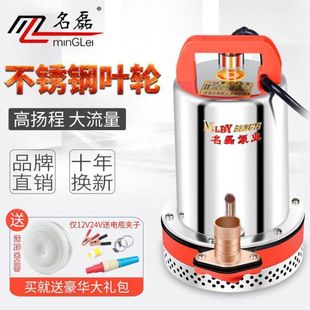 DC submersible pump battery electric vehicle household agricultural water pump 12V24v48V60V well pump volt