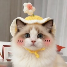 ����ñ��©����ɐ�ᘿ�ë��ñ����؈؈�^��^��С��Ȯ����ñ��