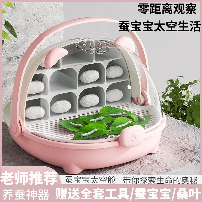 Малыш шелкопряда Студенческий набор для разведения яиц шелкопряда