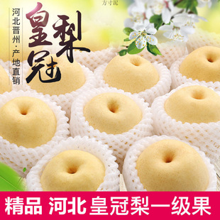 10����l������Xɽ��3ѩ�����rˮ�������ʹ�����������5��ӱ���