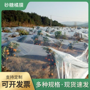 �r�I��Ĥɰ���ٷ�˪Ĥ ͸������ϩ���Ĥ����Ĥ�Bֳ�����Ĥ