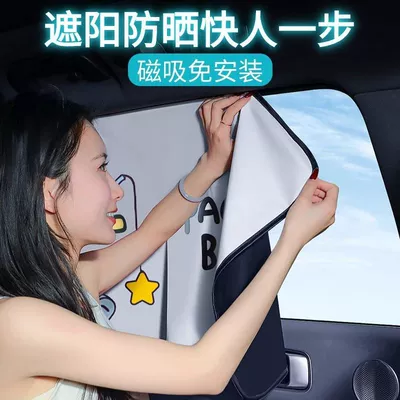 Car curtains the Car