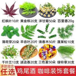 鸡尾酒咖啡装饰摆盘花草套餐蛋糕烘焙清香木叶子三色堇刺身点缀