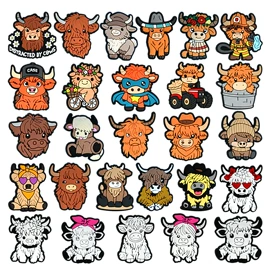 鞋扣;鞋辅件;装饰配件