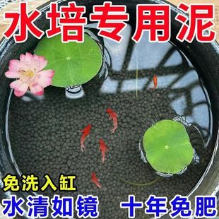 ��ɏ��ˮ������ɏ�಻��ˮ����ˮ��ɏ˯ɏˮ��ֲ��I�B��׷�