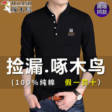 啄木鸟棉质长袖t恤男中年爸爸秋装翻领上衣中中年男士打底衫薄t恤