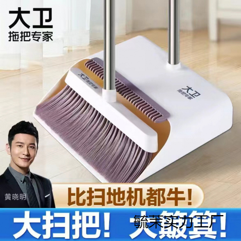 ダビデの箒は箕のセットの家庭を掃除します。|undefined