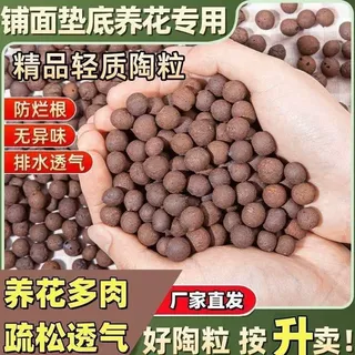 陶粒栽花碳球养花颗粒通用型花盆垫底花卉园艺多肉铺面
