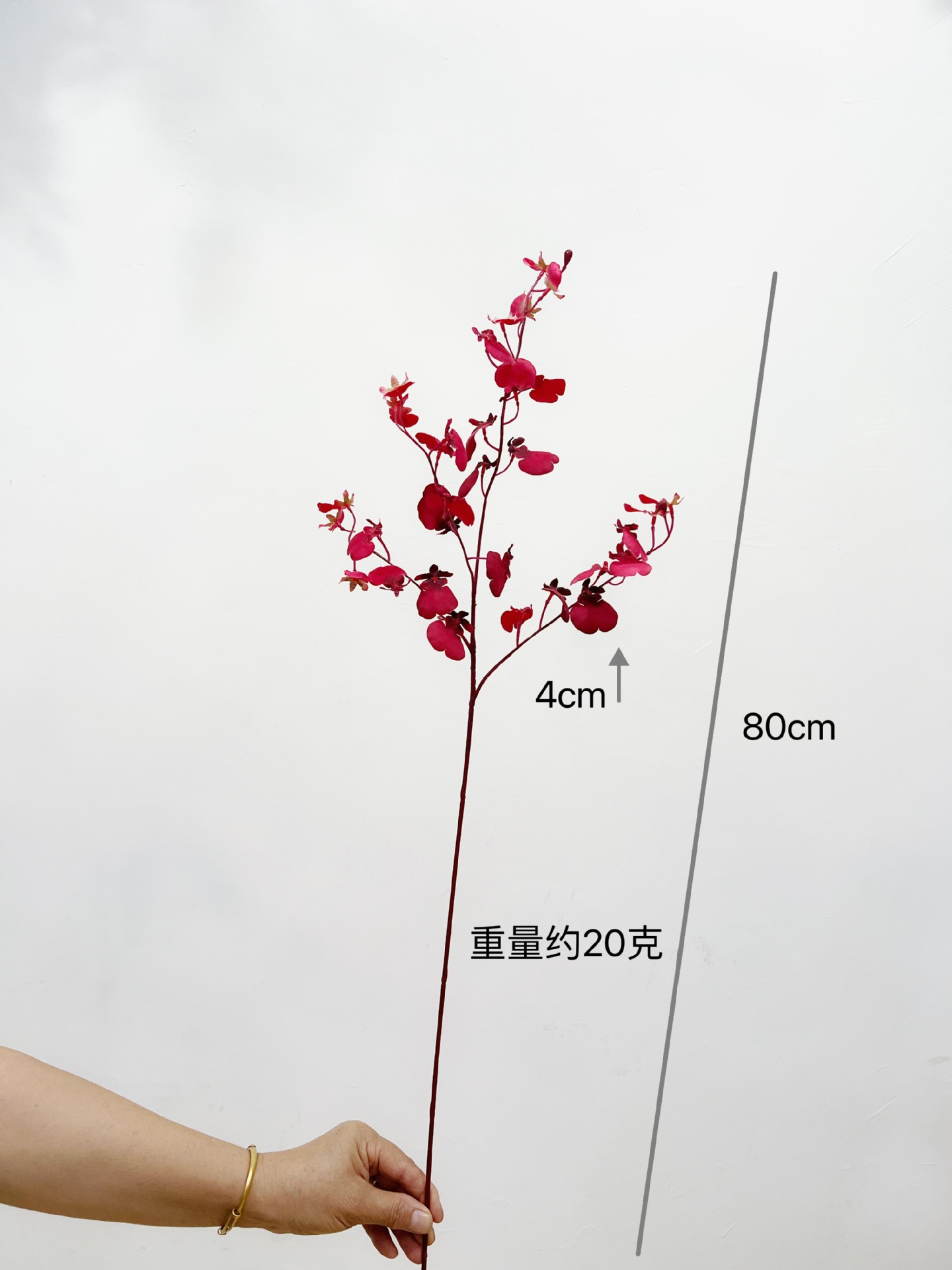 공작 춤추는 난초 [레드]]