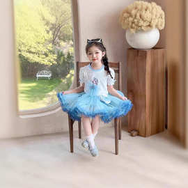 女童套装夏季2025新款儿童tutu裙夏装小女孩短袖两件套甜美公主裙