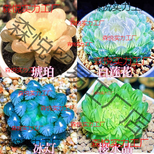 Mڰɏ¶Mɏ¿҃k҄[ݗ