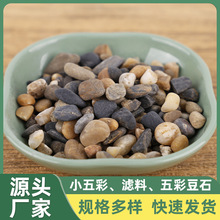���ڏS��ֱ����ʯ��ů�������С�Z��ʯ�~���쾰��ɰ�С�Z��ʯ