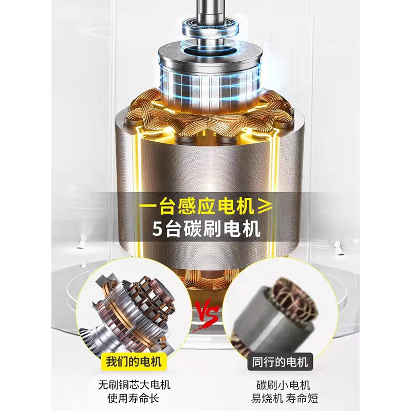 Delixi – Car washing machine Washer 220V - brushless-copper-core-motor