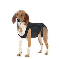 Amazon bestseller for IVDD dog back pain surgery recovery, dog back support brace for pain relief