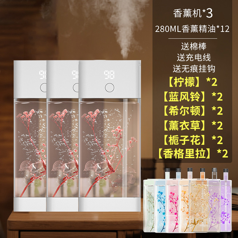 S 패키지 스마트 5단 * 3세트 + 에센셜 오일 12병 [각 맛 2병]