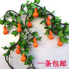 ����ˮ���G�~�����~��������b����Ϻ��J�G�~�����bڒ컨��