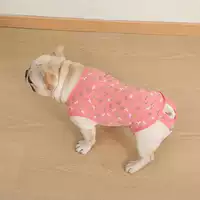 Домашние собаки, хлопчатобумажные брюки, сука, Теди Коркиби, медведь, чтобы бороться с менструальной тетей, соединенных Hh
