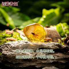 批發匹諾考古挖掘琥珀精靈考古玩具琥珀昆蟲精靈考古挖掘考古琥珀