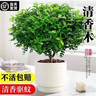 �����Ϙ��������ľ���ԾGֲ�辰�����՚��ļ����B��û����҃���