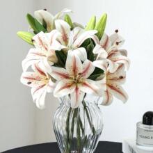 �ٻ��ٺϷ��滨����֧�͏d�ҕ�������b�Ʒ�[�O��ˇ�[����ƿ�廨
