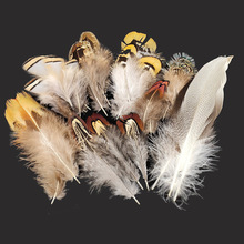 ���x�wω������ë����  Fly Tying Feather 50Ƭ�b���Ʋ���