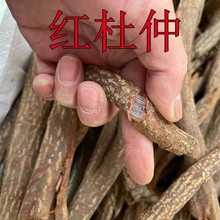 ��ș�� �t���� ���l���� ������ �ٻ������� ���ӹ�����