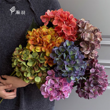 ��֧3D������滨�Ҿ��b�����յ��߻�c��Y���l��׼ٻ���������