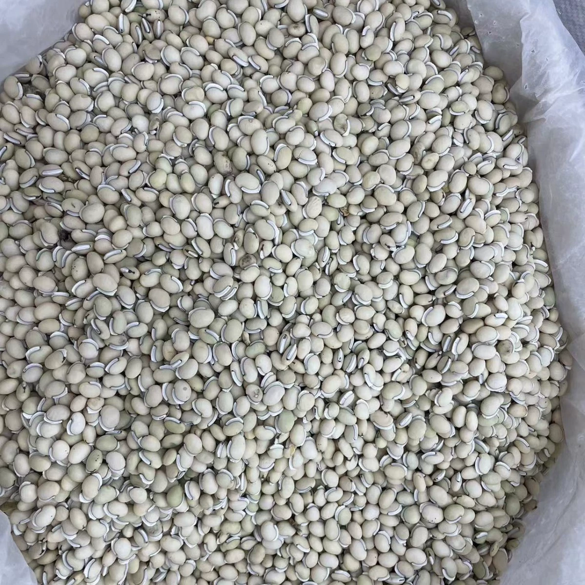 New goods white lentils edible Yunnan farmer lentils porridge and soup New beans medicinal white lentils commercial