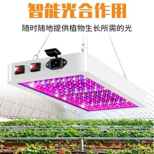 LEDȫ����2000Wֲ��������1000W���ԵƷ�ˮ�ɵ���˫ģʽ�����