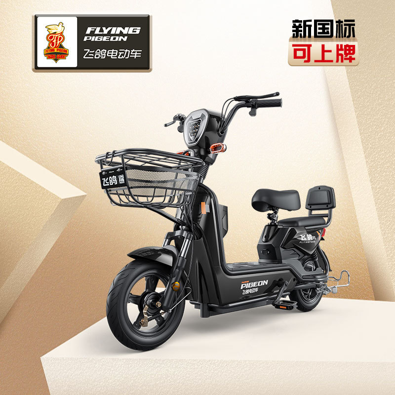 Flying Pigeon Golden Eagle coche eléctrico 48V batería de litio coche scooter nuevo estándar nacional bicicleta eléctrica