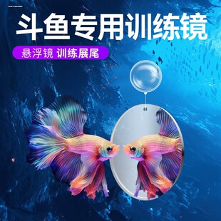 ̩�����~Ӗ���R�ӑҸ�������R�_�h�~�����~�쾰С���~�ה[��
