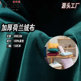 现货加厚丽丝绒 300克秋冬全涤亮面天鹅绒布 抱枕玩偶沙发荷兰绒