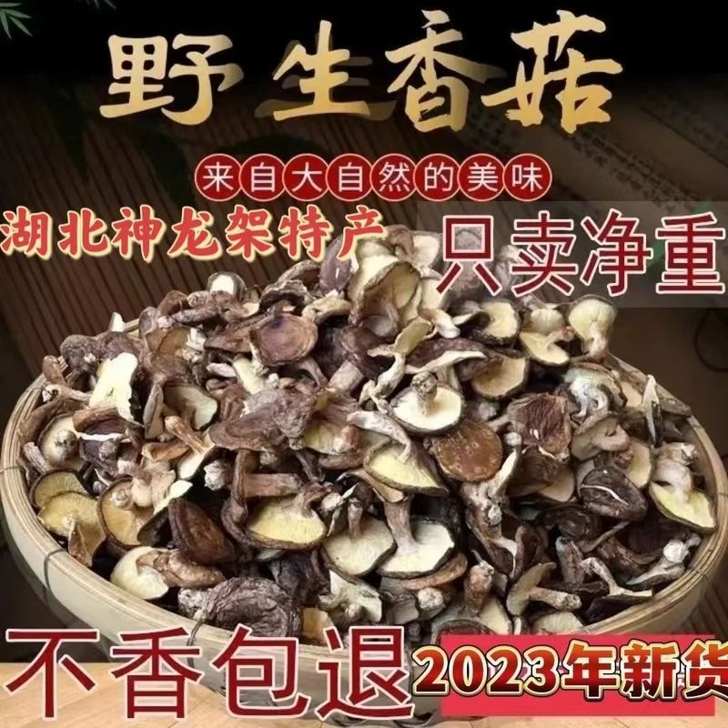 福建武夷山红菇批发野生天然红蘑菇月子菇干野生红菇红蘑碎片|undefined